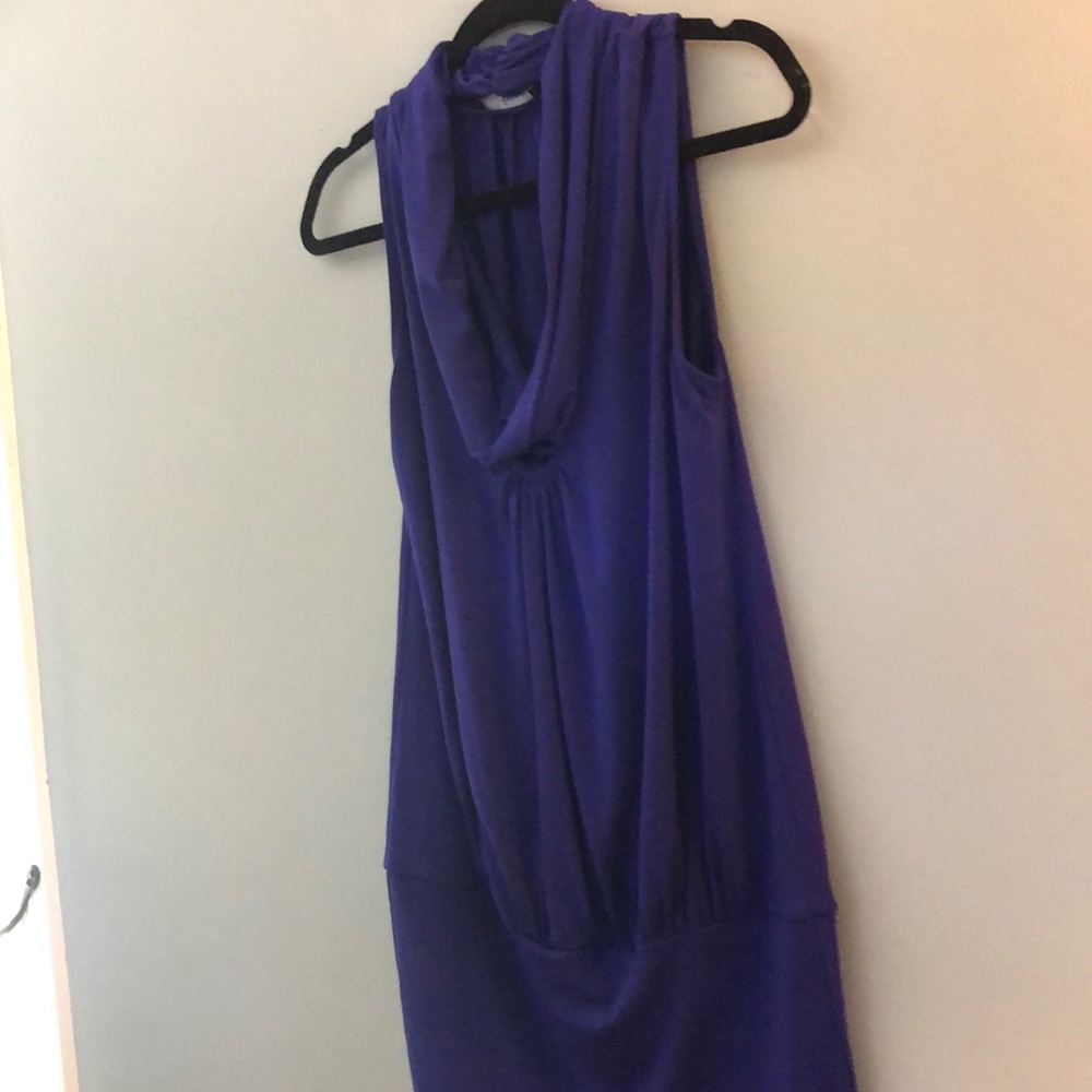Purple Express Dress - Picture 3 of 3